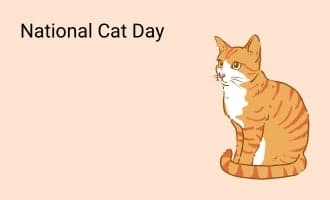 National Cat Day group greeting cards