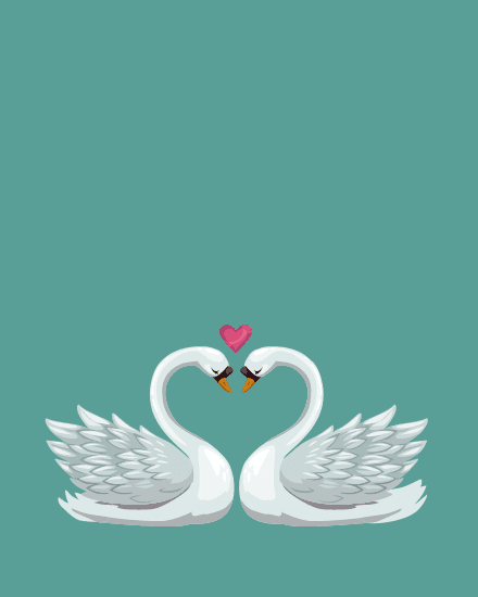 Love Birds Love Birds