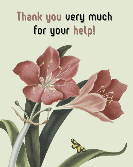 your help your help