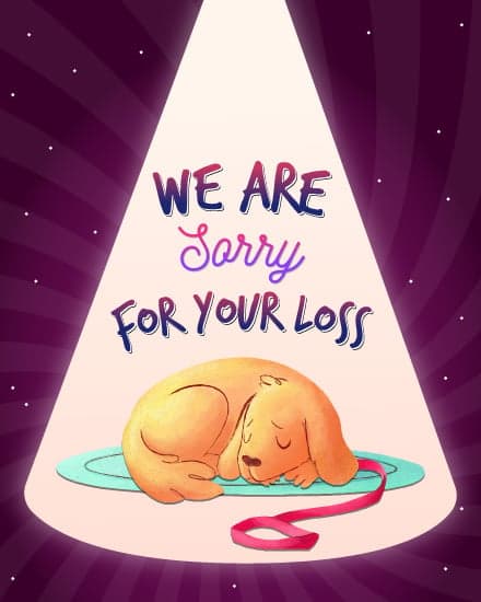 We are Sorry We are Sorry