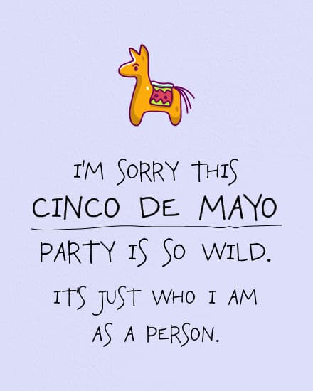Party Is So Wild Party Is So Wild