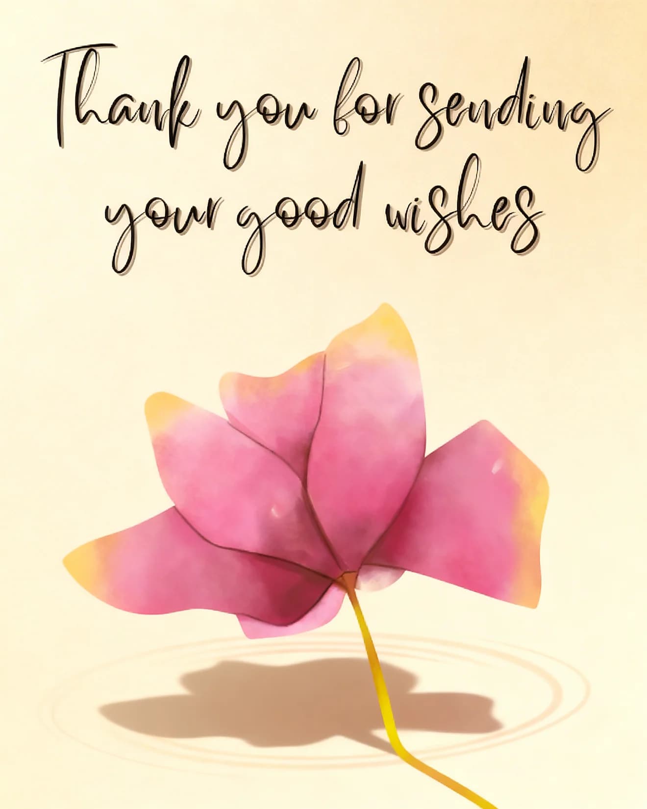 Grateful For Wishes Grateful For Wishes