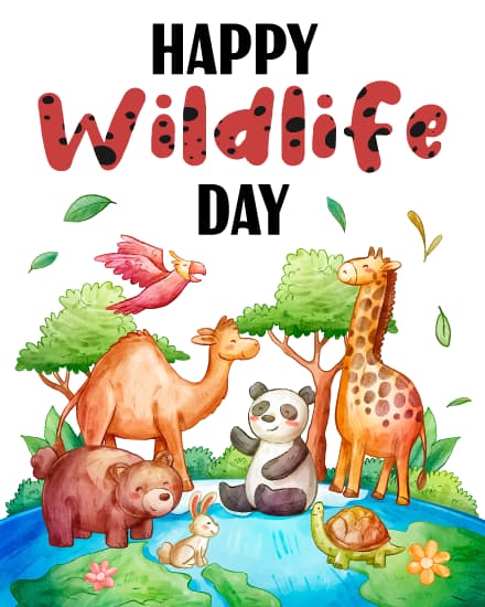 Every Creature Counts Every Creature Counts