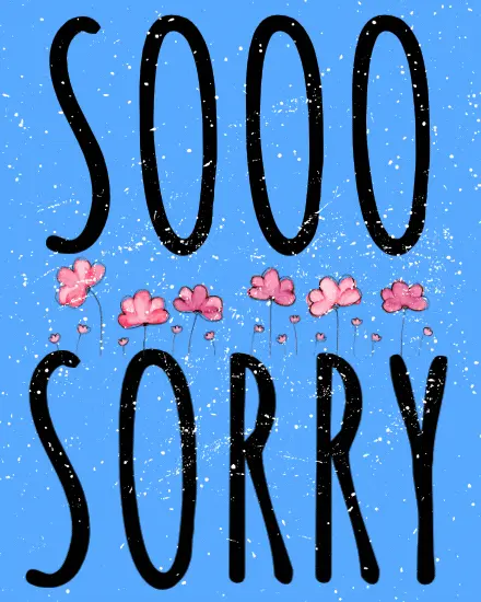 Flowers For Forgiveness Flowers For Forgiveness