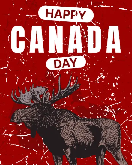 Bold Moose Pride Bold Moose Pride